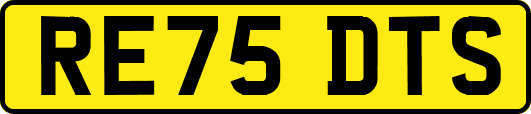RE75DTS