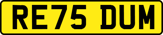 RE75DUM