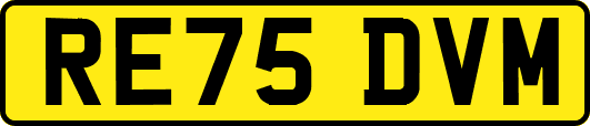 RE75DVM