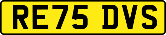 RE75DVS