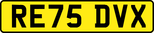 RE75DVX