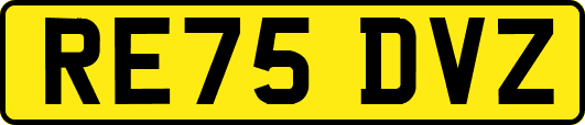 RE75DVZ