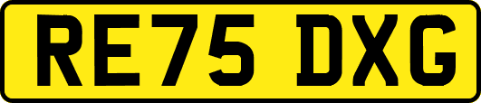 RE75DXG