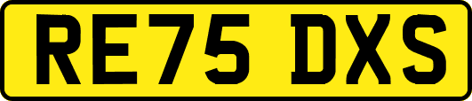 RE75DXS