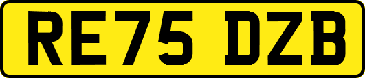 RE75DZB