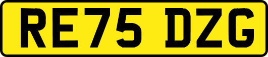 RE75DZG