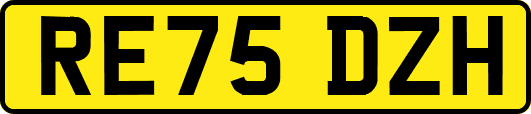 RE75DZH