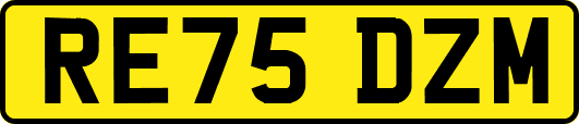 RE75DZM