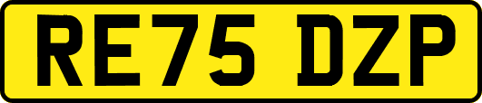 RE75DZP