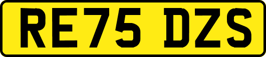 RE75DZS