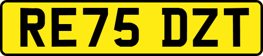 RE75DZT