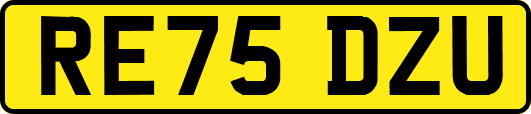 RE75DZU