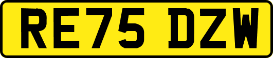 RE75DZW