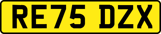 RE75DZX