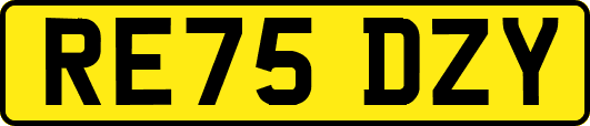 RE75DZY