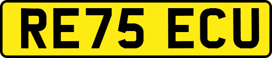 RE75ECU