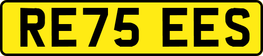 RE75EES