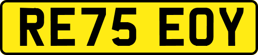RE75EOY
