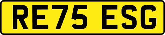 RE75ESG