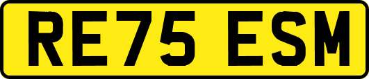 RE75ESM