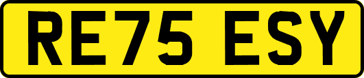 RE75ESY