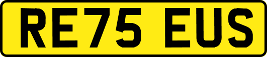 RE75EUS