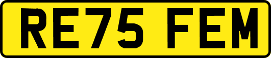 RE75FEM