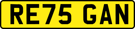 RE75GAN