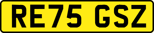 RE75GSZ