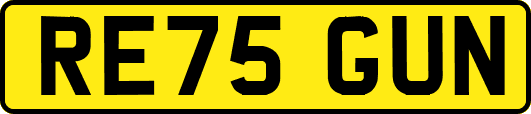 RE75GUN