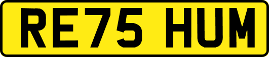 RE75HUM