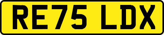 RE75LDX