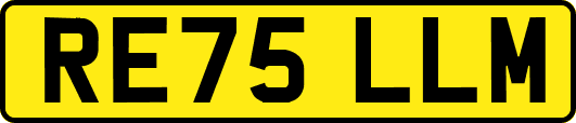 RE75LLM