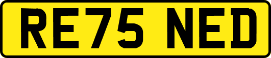 RE75NED
