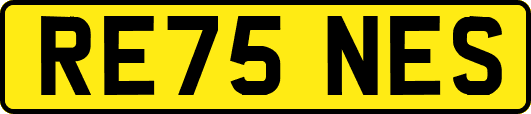 RE75NES
