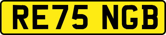 RE75NGB