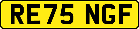 RE75NGF