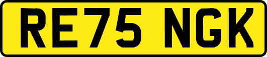 RE75NGK