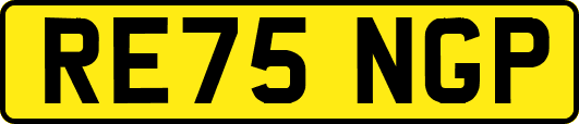 RE75NGP