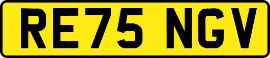 RE75NGV