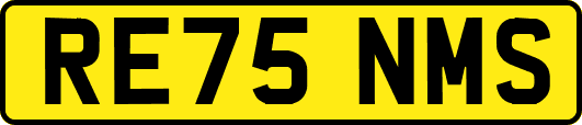 RE75NMS