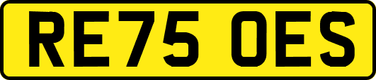 RE75OES