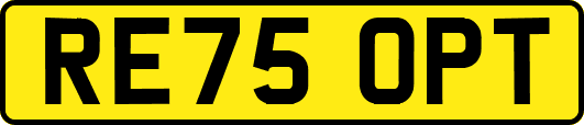 RE75OPT