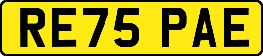 RE75PAE
