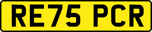 RE75PCR
