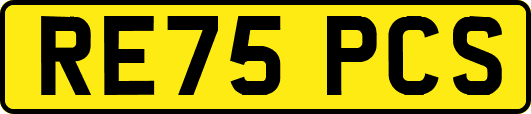 RE75PCS