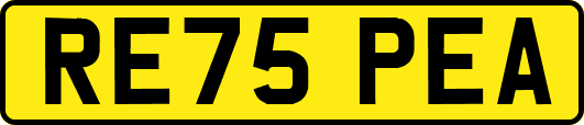 RE75PEA