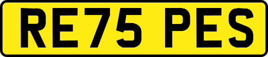 RE75PES