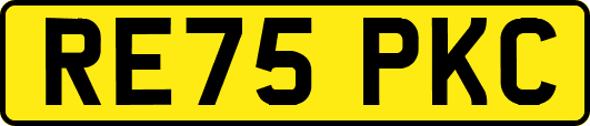 RE75PKC