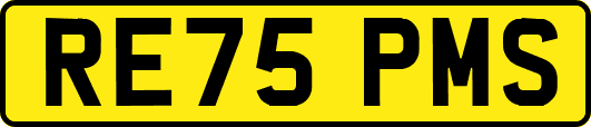 RE75PMS